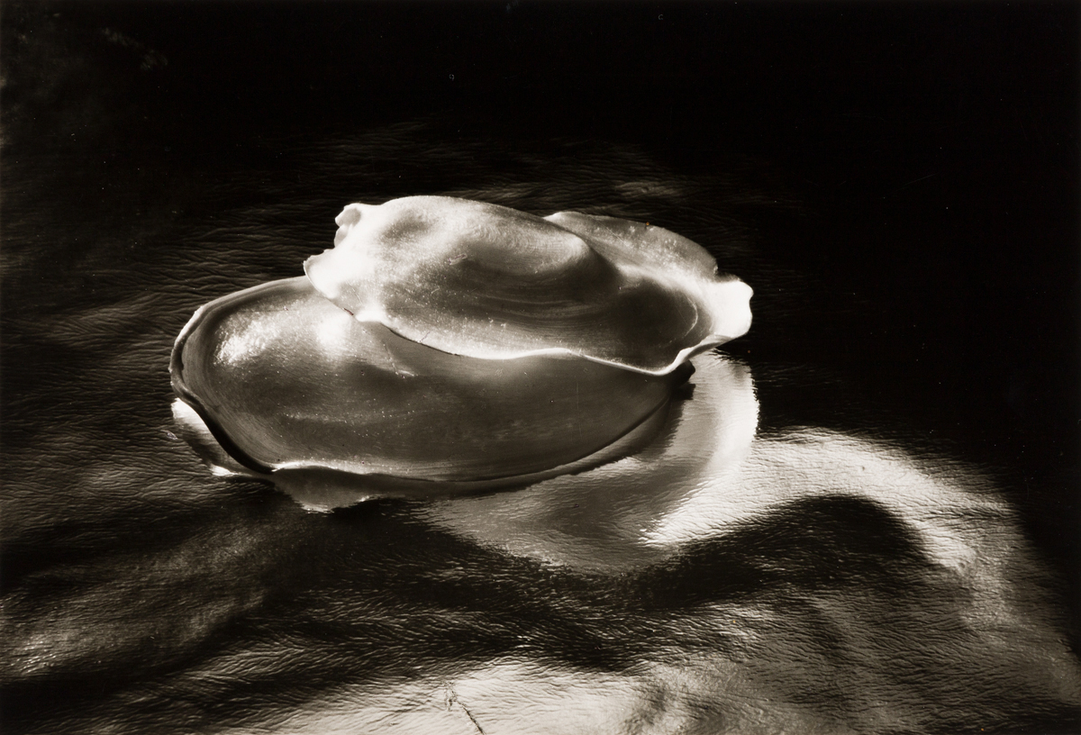 RUTH BERNHARD (1905-2006) The Gift of the Commonplace, a portfolio of 10 photographs dedicated to the memory of Edward Weston.